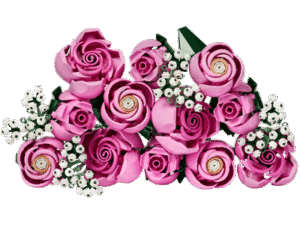 LEGO set 10374 Bouquet of Pink Roses