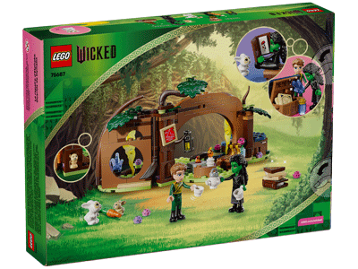 LEGO set 75687 Elphaba's Retreat